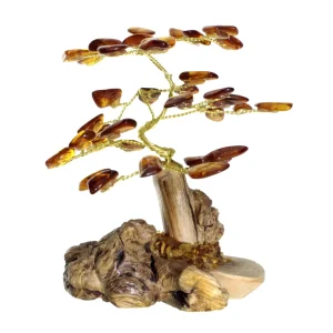 Baum auf Holz, Bernstein